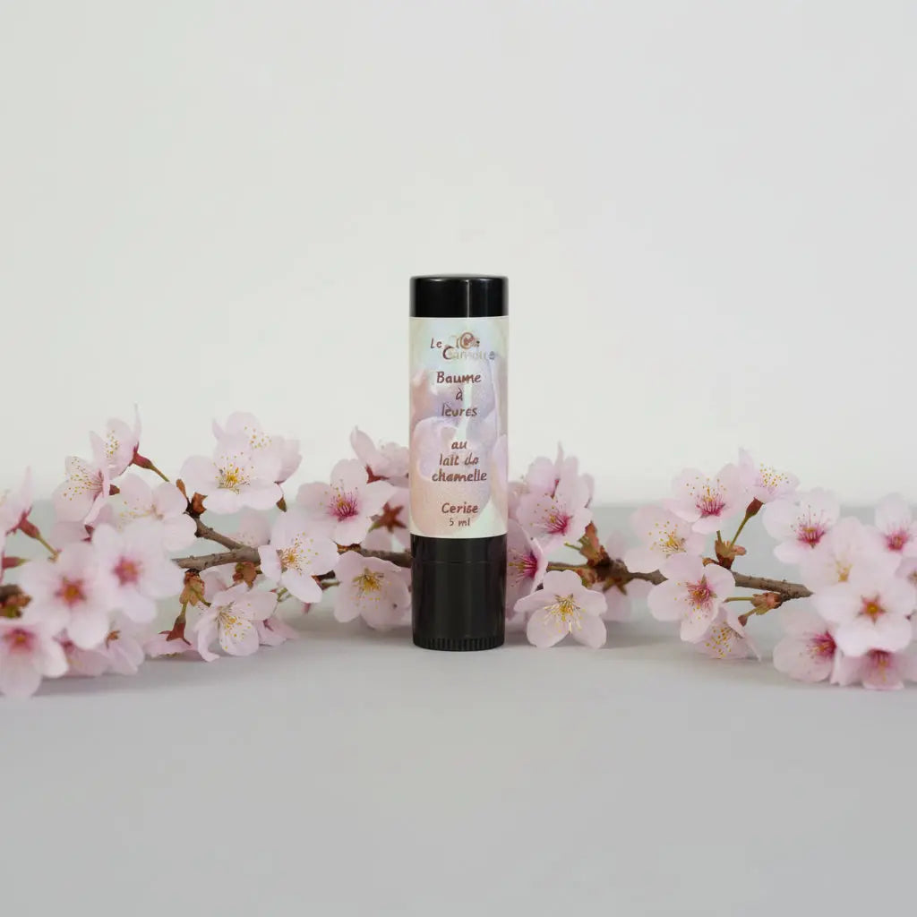 Baume à lèvres LE CLOS CAMELIN